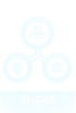 SISDIA